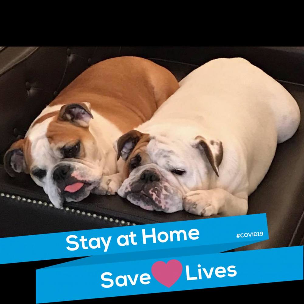 Meet your Posher, Naziha